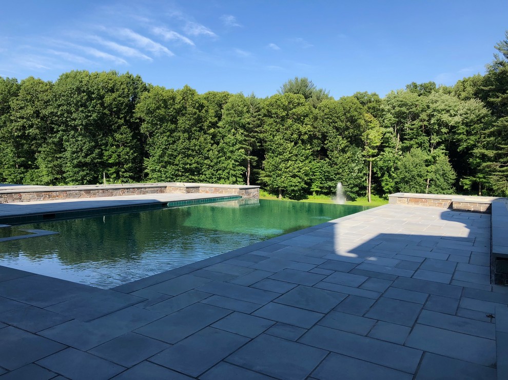 Imagen de piscina infinita actual rectangular en patio trasero con paisajismo de piscina y adoquines de piedra natural