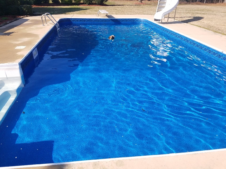 Modelo de piscina con tobogán clásica rectangular en patio trasero con losas de hormigón