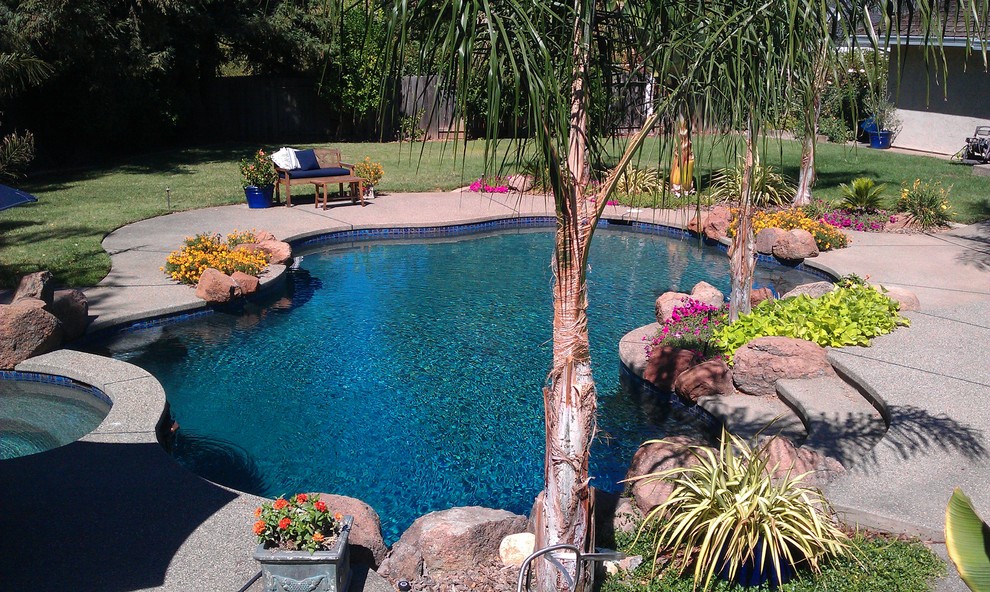 Pool - tropical backyard concrete and custom-shaped pool idea in Sacramento