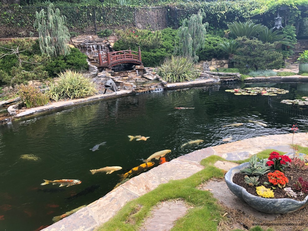 Ejemplo de piscina natural tropical grande tipo riñón en patio trasero con adoquines de piedra natural