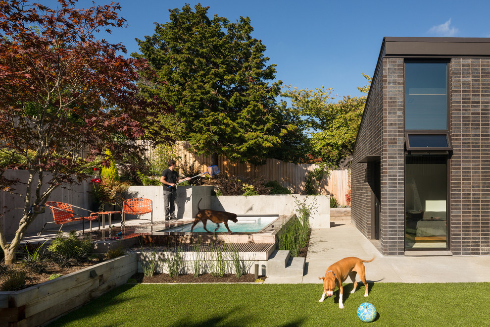 Esempio di una grande piscina fuori terra moderna rettangolare dietro casa con lastre di cemento