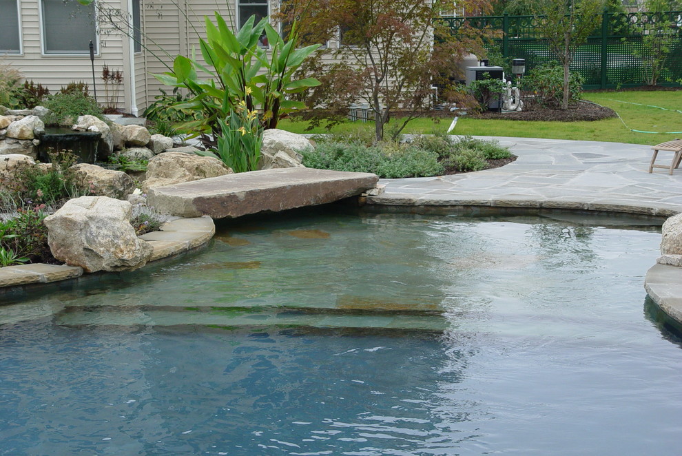 Idee per un'ampia piscina naturale tradizionale personalizzata dietro casa con pavimentazioni in pietra naturale e fontane