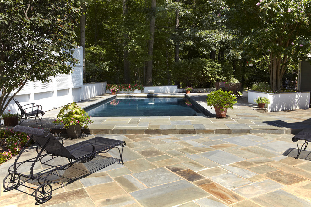 Modelo de piscina alargada tradicional de tamaño medio rectangular en patio trasero con adoquines de hormigón