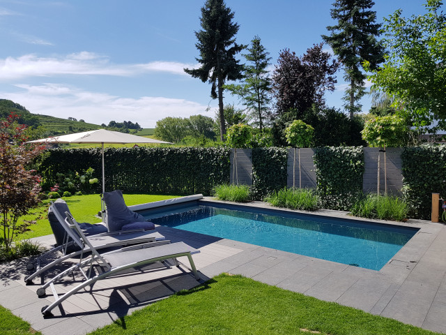 Beton- Folienbecken 7,00 x 3,50 x 1,50 m in anthrazitgrau - Mediterran