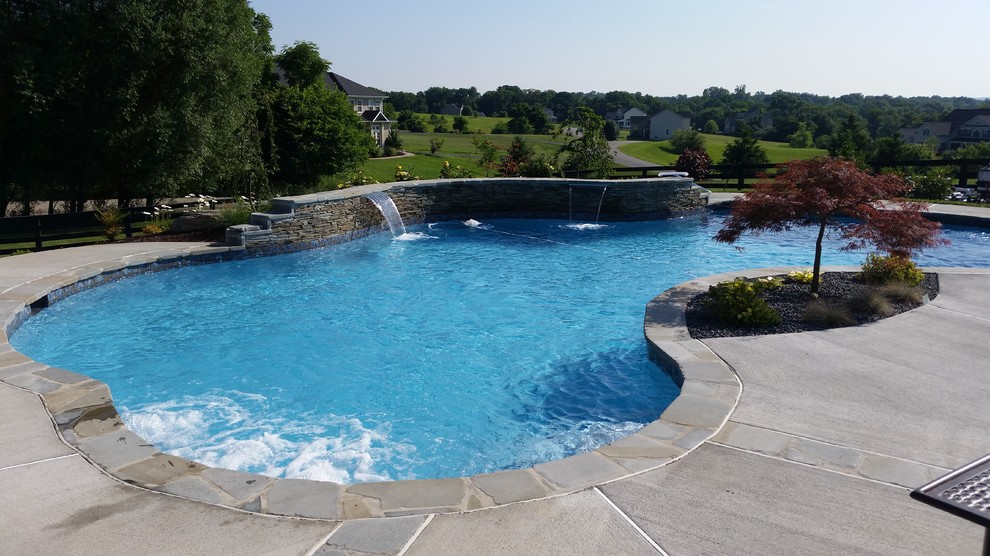 Photo of a medium sized back custom shaped swimming pool in DC Metro with a water feature and concrete paving.