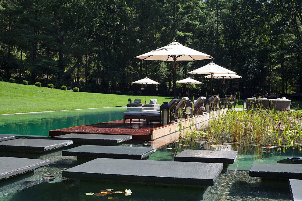 Immagine di una grande piscina naturale tradizionale rettangolare dietro casa con fontane e pavimentazioni in pietra naturale