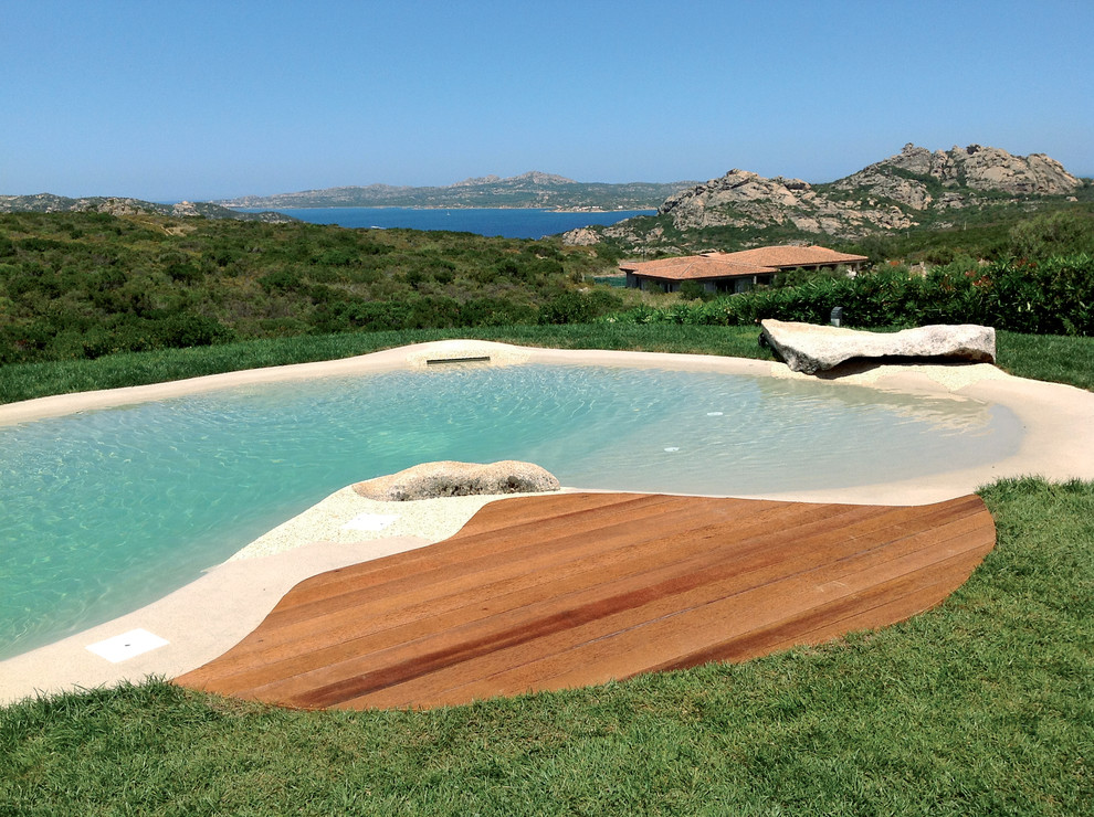 Пример оригинального дизайна: большой естественный бассейн произвольной формы на заднем дворе в морском стиле с покрытием из бетонных плит