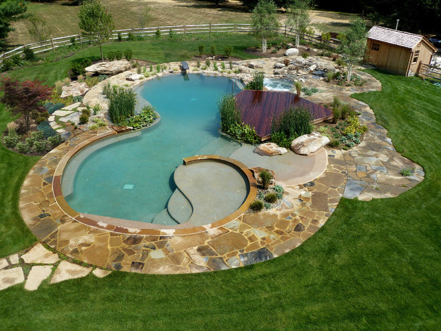 BioNova® - Building Custom Natural Swimming Pool Designs