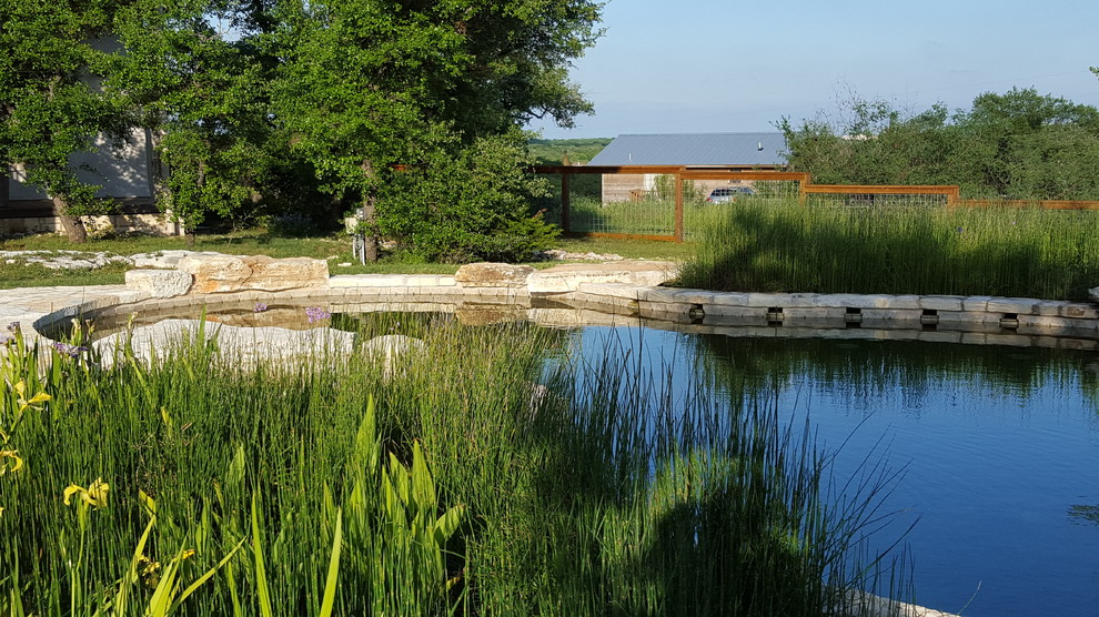 Photo of a mediterranean front custom shaped natural swimming pool in Austin with a water feature.