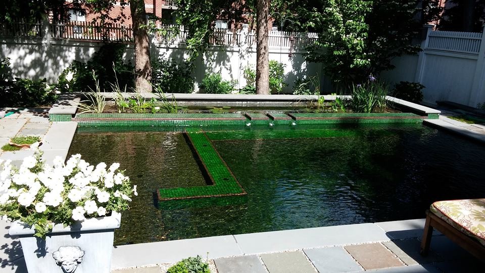 Modelo de piscina natural pequeña rectangular en patio trasero con adoquines de piedra natural