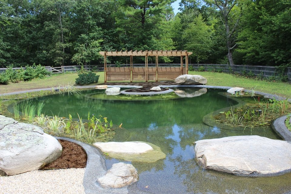BioNova Natural Swimming Pool Hartford, CT Swimming Pool & Hot Tub