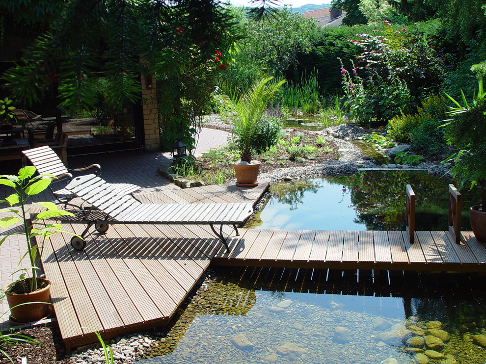 Inspiration for a natural pool remodel in Other