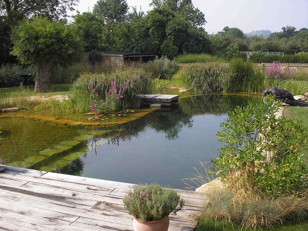 Pool - natural pool idea in Cambridgeshire