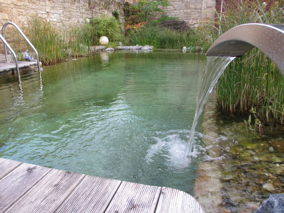 Ejemplo de piscina natural rectangular