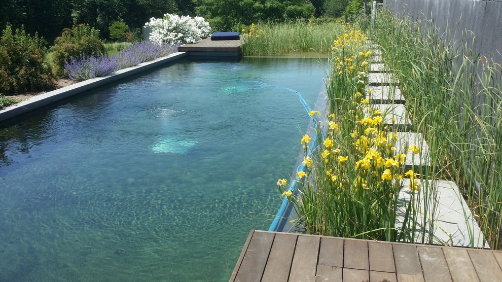 Large farmhouse back rectangular natural swimming pool in New York with natural stone paving.