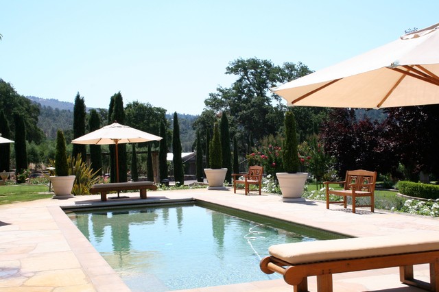 sammensværgelse Okklusion Merchandising Black Swan Lake, Napa Valley - Traditional - Swimming Pool & Hot Tub - San  Francisco - by Mint Locations | Houzz IE