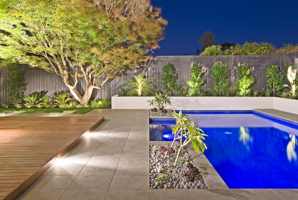 Пример оригинального дизайна: прямоугольный бассейн на заднем дворе в современном стиле с забором