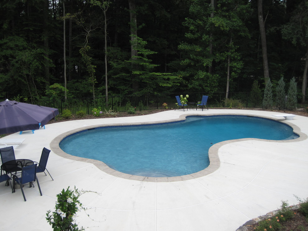 This is an example of an expansive beach style back custom shaped natural swimming pool in DC Metro with concrete slabs.