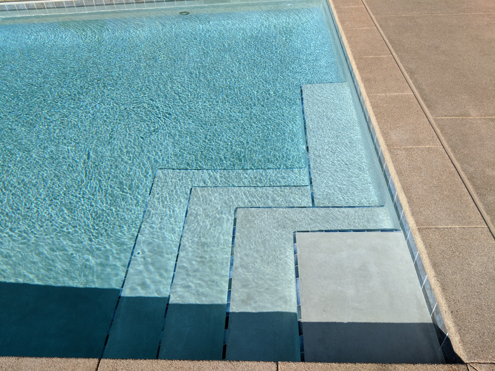 Mittelgroßer Pool hinter dem Haus in rechteckiger Form in Denver