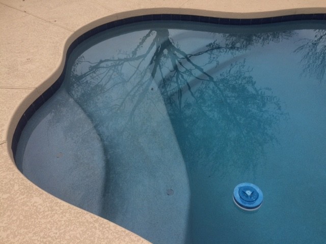 На фото: бассейн среднего размера, произвольной формы на заднем дворе в морском стиле с настилом с