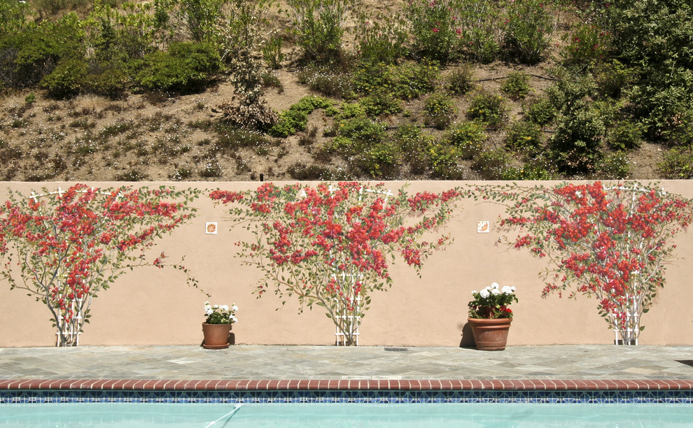 Inspiration for a mediterranean swimming pool in San Francisco.