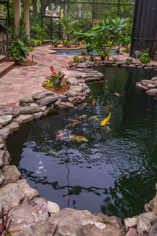 Esempio di una grande piscina naturale tropicale personalizzata dietro casa con fontane e pavimentazioni in mattoni