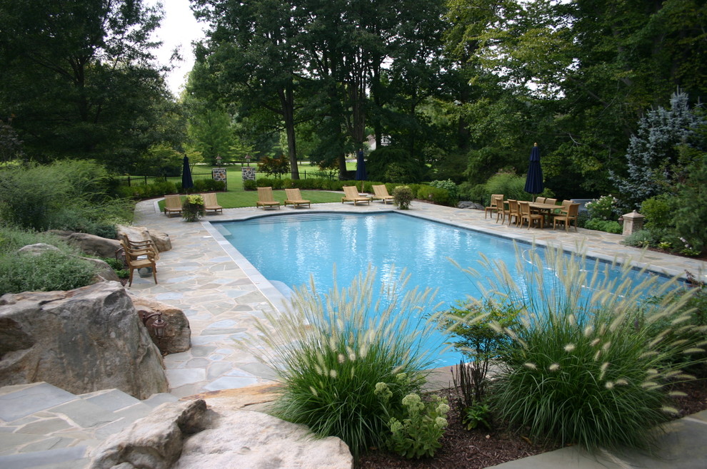 Свежая идея для дизайна: большой спортивный, прямоугольный бассейн на заднем дворе в классическом стиле с покрытием из каменной брусчатки - отличное фото интерьера
