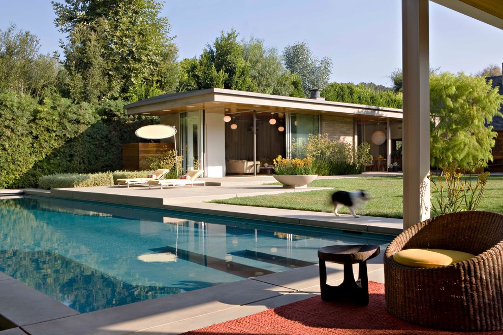 This is an example of a retro swimming pool in Los Angeles.