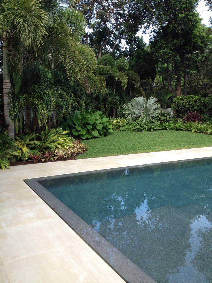 This is an example of a modern swimming pool in Miami.