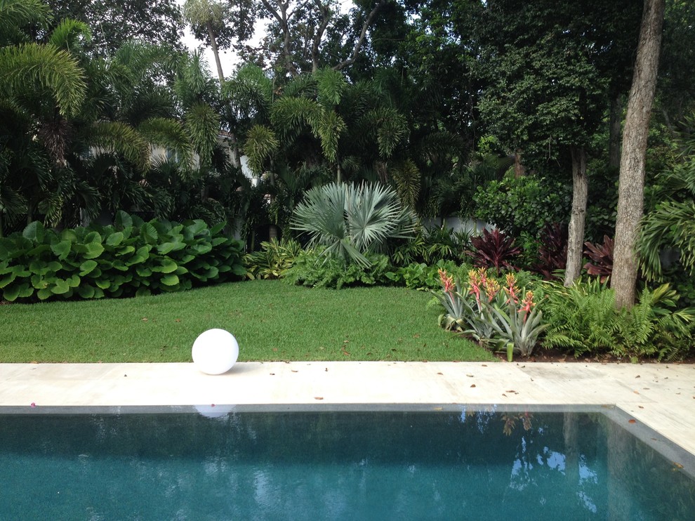 Inspiration for a modern infinity pool remodel in Miami