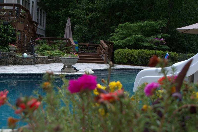 Mittelgroßer Moderner Pool hinter dem Haus in individueller Form mit Wasserspiel in Atlanta