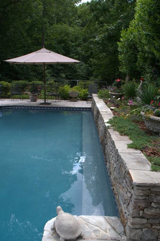 Foto på en stor funkis pool på baksidan av huset, med vattenrutschkana