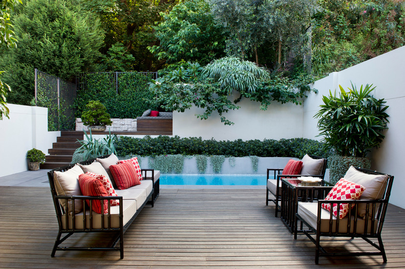 Стильный дизайн: прямоугольный бассейн на заднем дворе в стиле модернизм - последний тренд