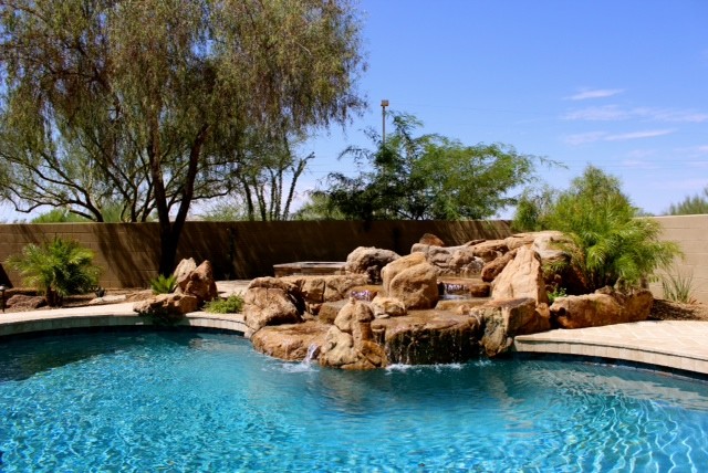 Photo of a contemporary swimming pool in Phoenix.