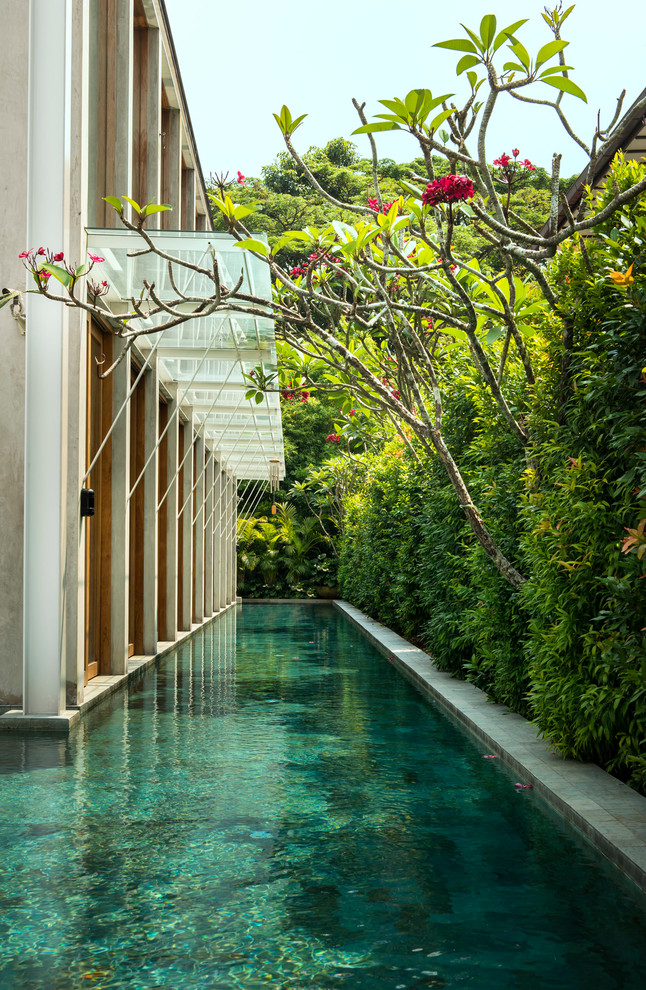 Idee per una grande piscina monocorsia tropicale rettangolare nel cortile laterale con lastre di cemento
