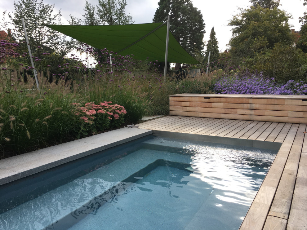 Modelo de piscina actual rectangular en patio lateral
