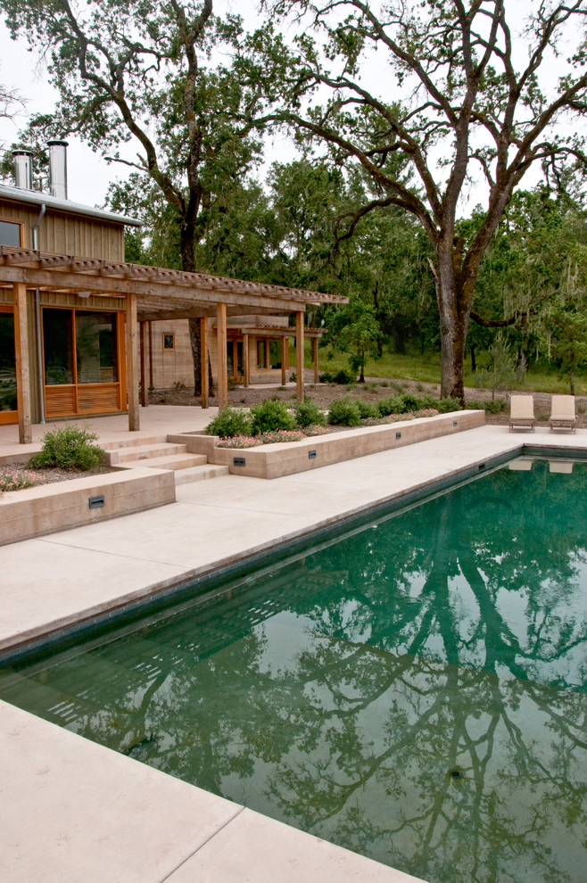 Moderner Pool in San Francisco