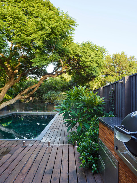 https://st.hzcdn.com/simgs/pictures/pools/cammeray-poolside-jacaranda-think-outside-gardens-img~4071c8530cd4d78d_4-5592-1-4cff536.jpg