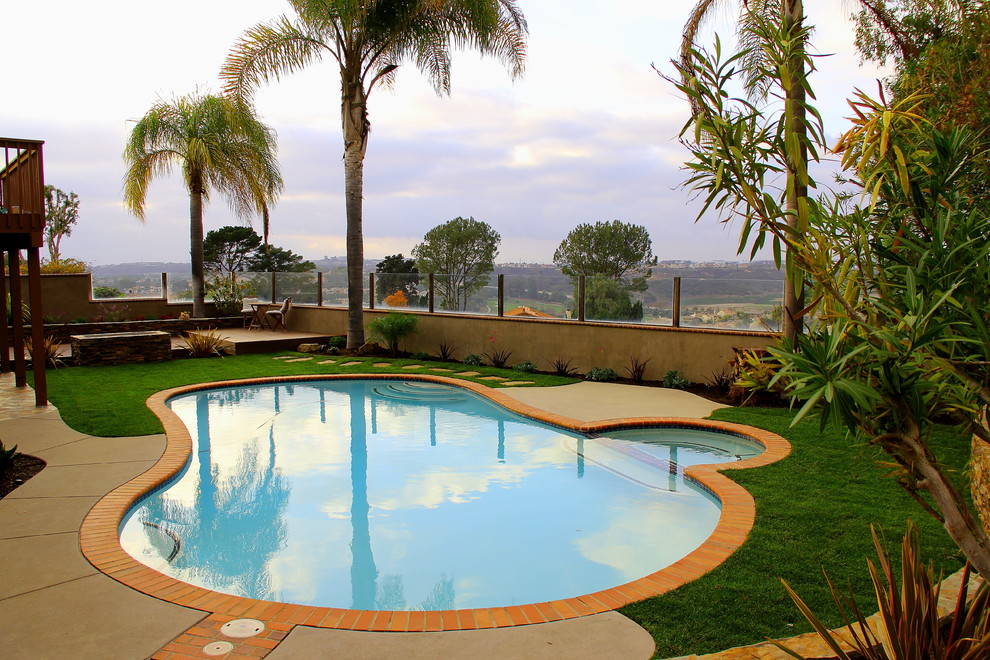 This is an example of a contemporary custom shaped swimming pool in San Diego.