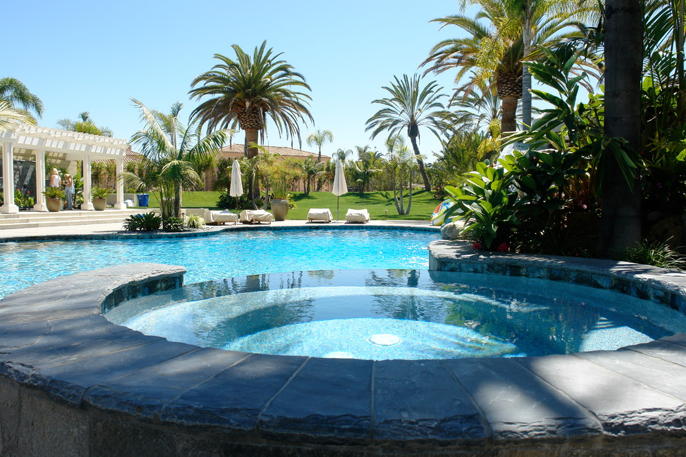This is an example of a world-inspired custom shaped swimming pool in San Diego.