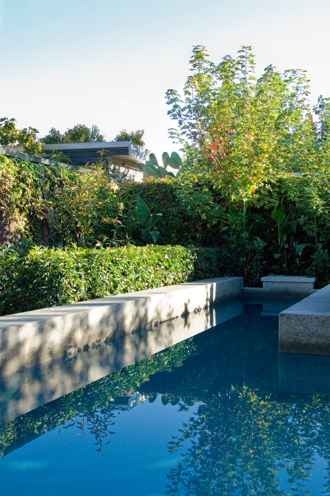 Imagen de piscina alargada contemporánea de tamaño medio rectangular con adoquines de piedra natural