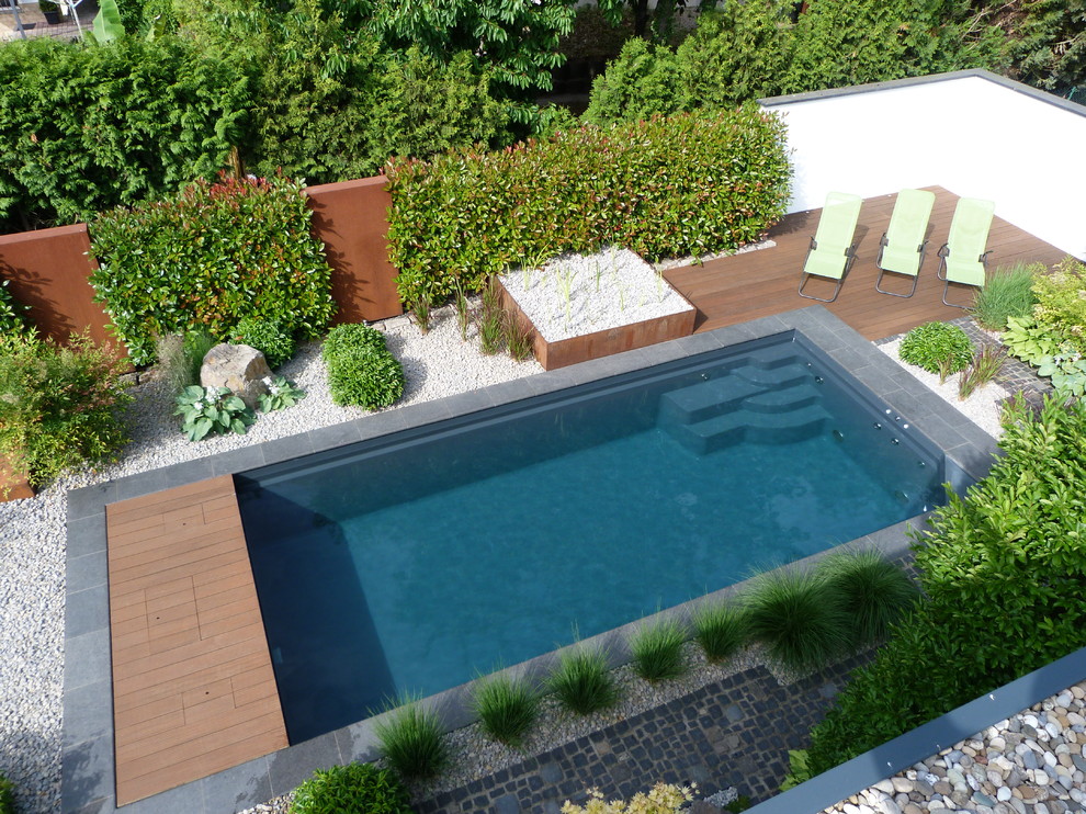 Пример оригинального дизайна: прямоугольный, спортивный бассейн среднего размера на заднем дворе в стиле модернизм с покрытием из гранитной крошки