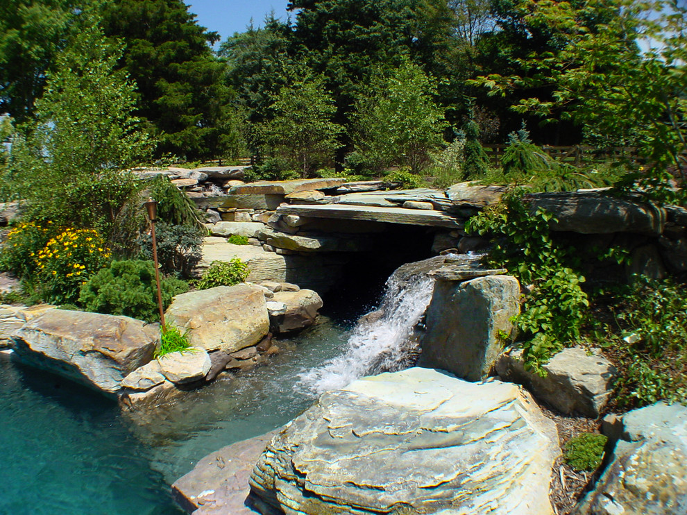 Imagen de piscina natural de estilo americano a medida en patio trasero