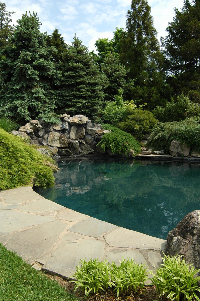 Example of a mountain style pool design in Baltimore