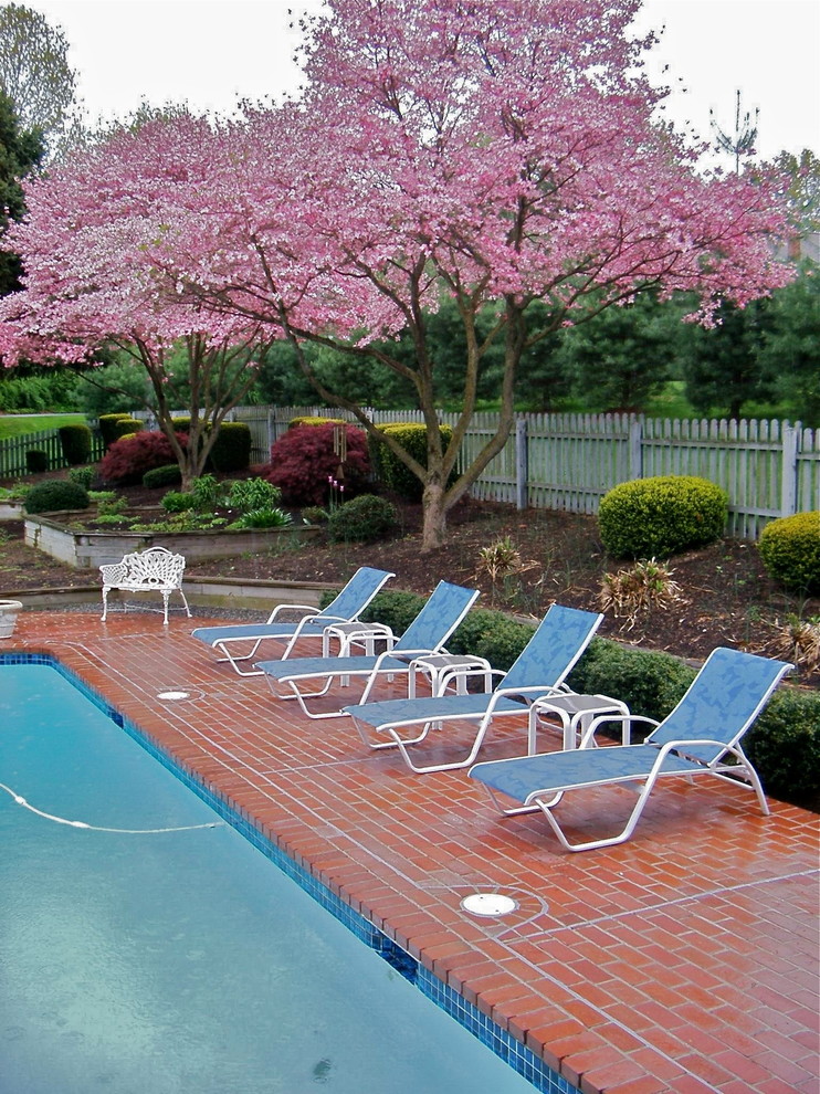 Imagen de piscina con fuente alargada tradicional grande rectangular en patio trasero con adoquines de ladrillo