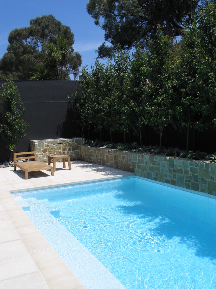 Modelo de piscina contemporánea pequeña rectangular en patio trasero con adoquines de hormigón