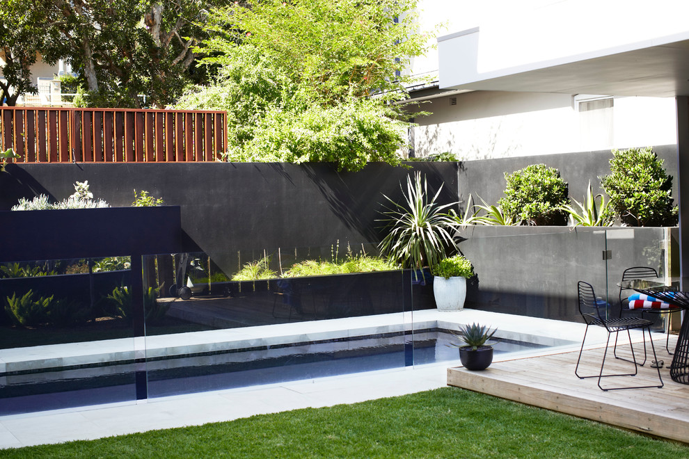 Idee per una piccola piscina monocorsia minimal rettangolare dietro casa con pavimentazioni in pietra naturale