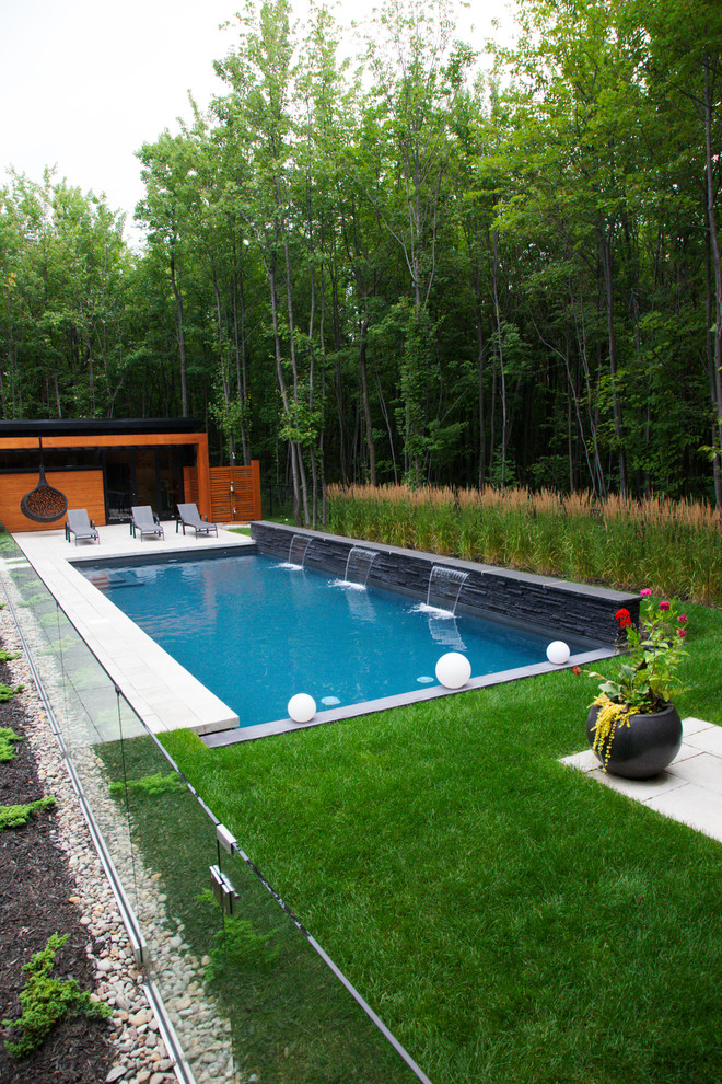 Ispirazione per una piscina design rettangolare dietro casa con fontane e lastre di cemento