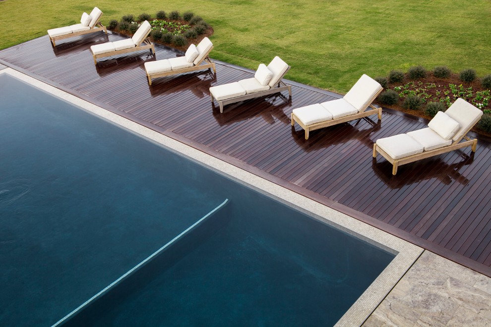 garden and pool