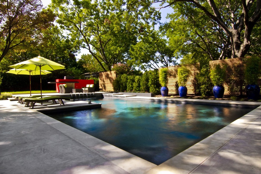 This is an example of a large contemporary l-shaped swimming pool in Dallas with concrete slabs.